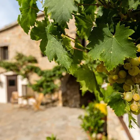 Holiday home Casa Mauri